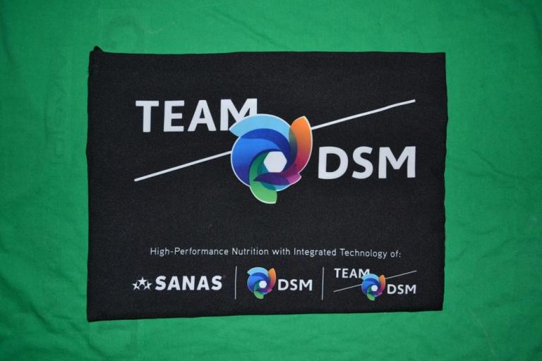 Team DSM
