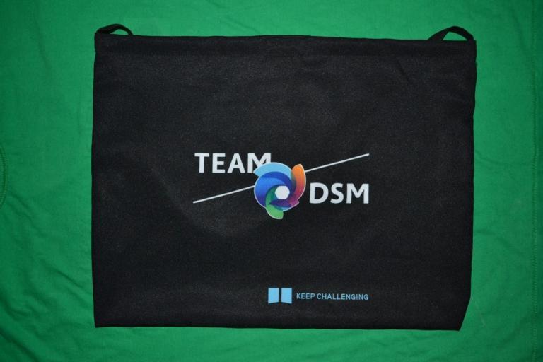 Team DSM 2